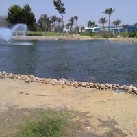 عبد الرحمن مصطفي