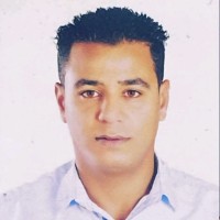 Hassan Elzawawy