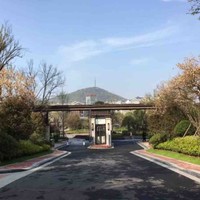 马露瑶