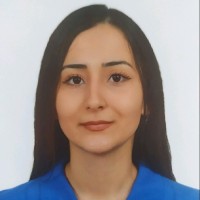 Özlem Karakullukçu