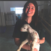 Sezen Evrenkaya Taşkın