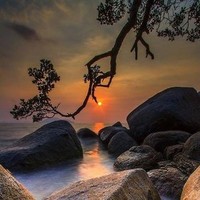 Nurul Islam