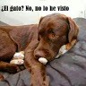 Hernan Dario