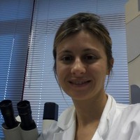 Elisa De Luca