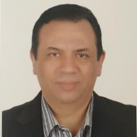 Amr El-Shafei