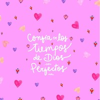 Maria Carolina Ochoa negrete