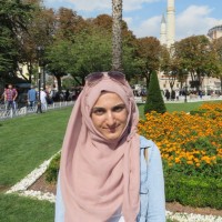 Aneesa Ahmed, Phd, Mrpharms