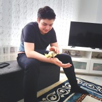 Furkan Abay