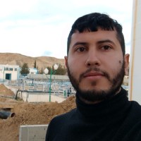 Mohamed Triki
