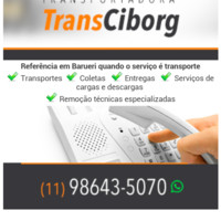 TRANSPORTADORA TRANS CIBORG LTDA