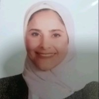 Alaa ismail