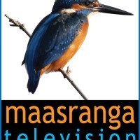 Maasranga Television