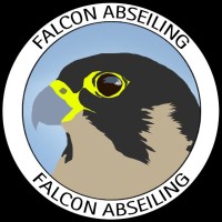 Falcon Abseiling