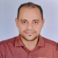 Mohamed E. A. Ali