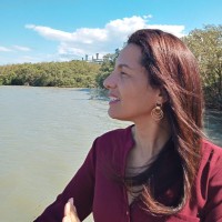 Ana Cristina Ferreira Dinnebier