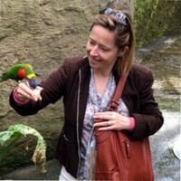 Kay Van Overstraeten