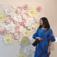 Wenjia Liu