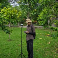Tulus Widodo