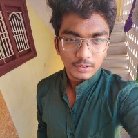 Akhilesh Parasa