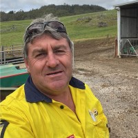Mark Dent