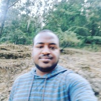 Dawit Z