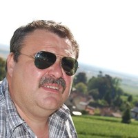 Dominique Van Vlasselaer