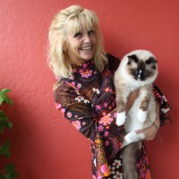 Elise H Voster