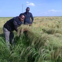 Chalachew Gebeyehu