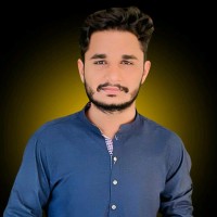 M. Waleed Rizvi
