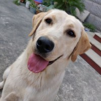 钱嘉铭