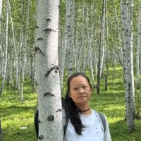 tingting wang