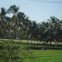Bhawna Parmar