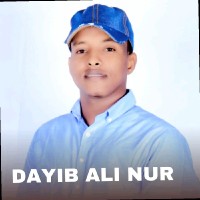 Dayib Ali