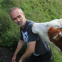 Gerd Dercon