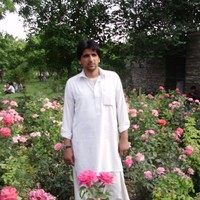 Farooq Raufzai