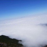 连道杰