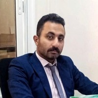 Hasan Mohsen