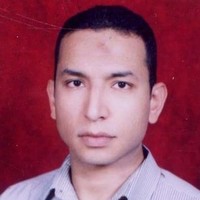 Hamdy ٍSafina
