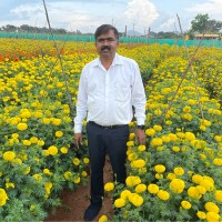 Manjunath T