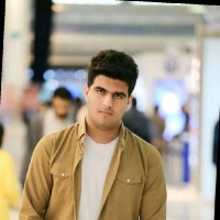 Hamed Omidian