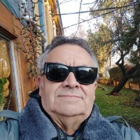 Carlos Figueroa Portales