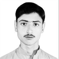 Hasnain Faraz