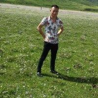 李廷军