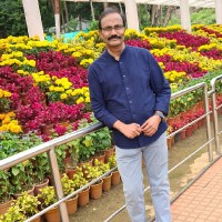 Swaminathan T