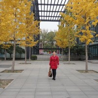 Xiulan Zhao