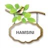 Hamsini A V