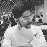 Parth Vidyarthi