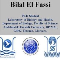 Bilal El Fassi