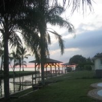 Margo Militano-Broughton