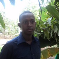 Houssein Diraneh ali Ougoul-Transit